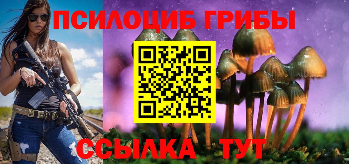 Мичуринск  купить наркотик  Вход с VPN  Галлюциногенные грибы прущие грибы  Псилоцибиновые грибы прущие грибы 