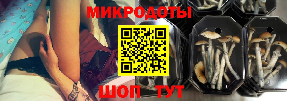 APVP Мичуринск
